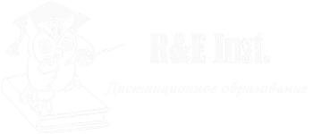Логотип R&E inst без подписи – Euroinst
